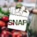 11,834 New Mexicans To Receive $1,535 In Extra SNAP Benefits: State Efforts Combat Food Insecurity!