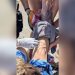 A shark bites a 14-year-old on a beach in North Carolina