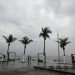 Alberto, the season’s first named tropical storm, brings rain to Texas and Mexico, causing the deaths of three people