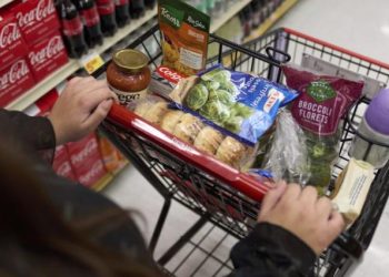 Food Insecurity Initiative Provides Extra $135 SNAP Benefits to 11,834 New Mexicans in June
