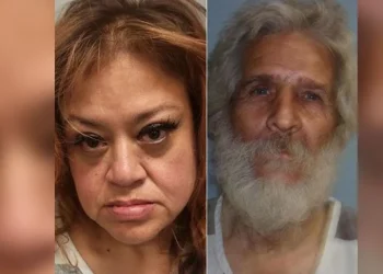 Friendswood police arrest three for organized criminal activity, including one juvenile.