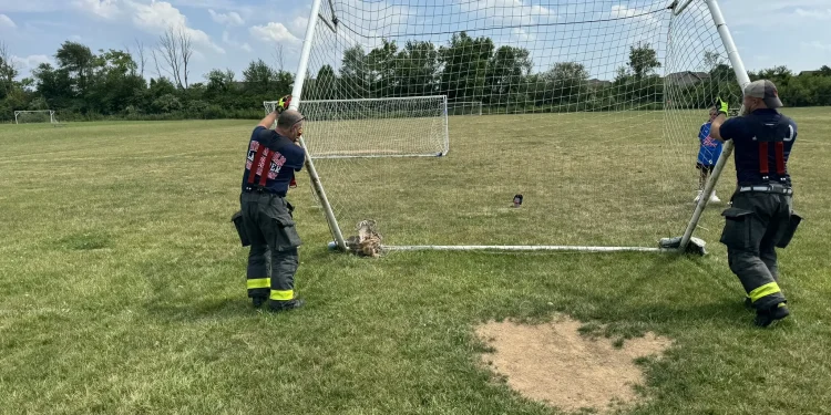 Indianapolis resident shoots cousin during home invasion