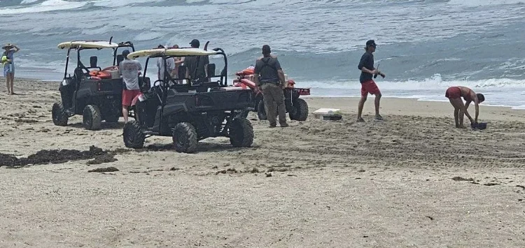 Six children from Pennsylvania were on holiday in Florida when they became stuck in a rip current and drowned.