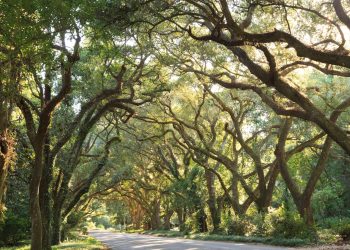 Alabama town named as one of most beautiful in America: ‘The epitome of Southern charm’