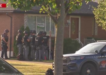 Amherst man arrested after standoff that stemmed from domestic incident