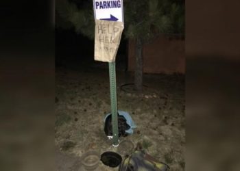 Dog found tied to pole with words “Help her” adopted