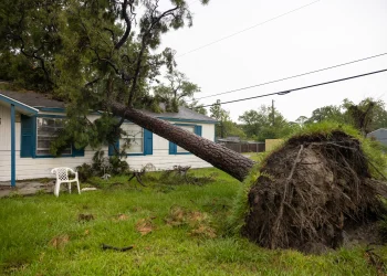 FEMA funds $750 for households affected by Hurricane Beryl
