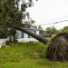 FEMA funds $750 for households affected by Hurricane Beryl
