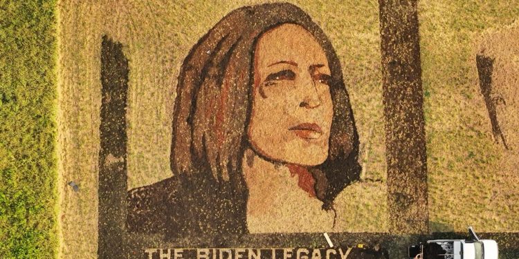 Kansas man creates large portrait of Kamala Harris in field after Biden announces exit from race