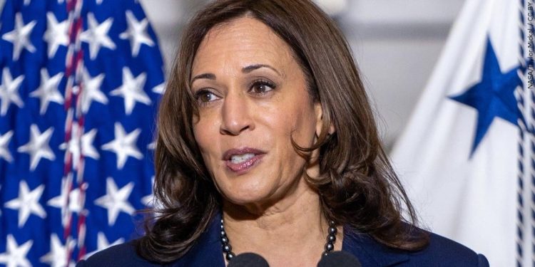 Mississippi, Alabama DNC delegates back Kamala Harris for president