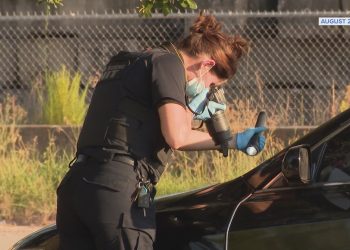 More children die in hot cars in Texas than any other state, group says; tips to protect your child