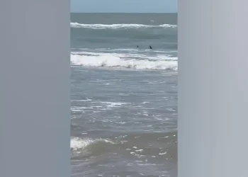 Ohio tourist was attacked by a shark at a Florida beach while playing football in knee-deep water