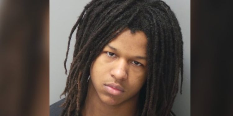 Sentence handed down to teenager convicted of killing man over fireworks