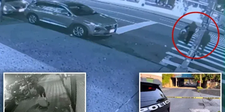 Chilling video appears to show suspects pushing cart with body parts to NYC station — just hours before torching remains