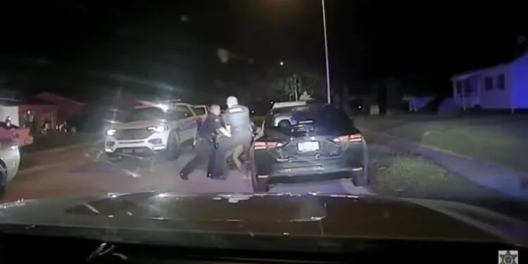 Police: Driver Apprehend In Fatal Hit-and-run Crash Along I-69