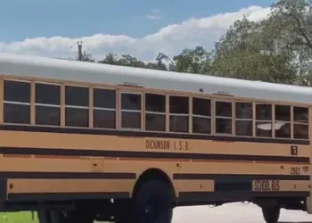 Galveston Co. bus driver arrested, charged after allegedly assaulting 11-year-old over bag of chips