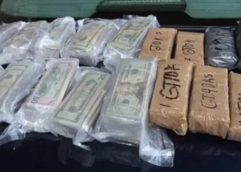Seizure of Cocaine, Cash, and Cold Cuts at Texas Border