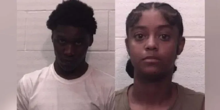 Michigan teenagers caught stealing packages in rented car in Deer Park