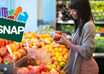 Complete SNAP Food Stamps Payment Schedule for November Up to $292 on Your EBT Card