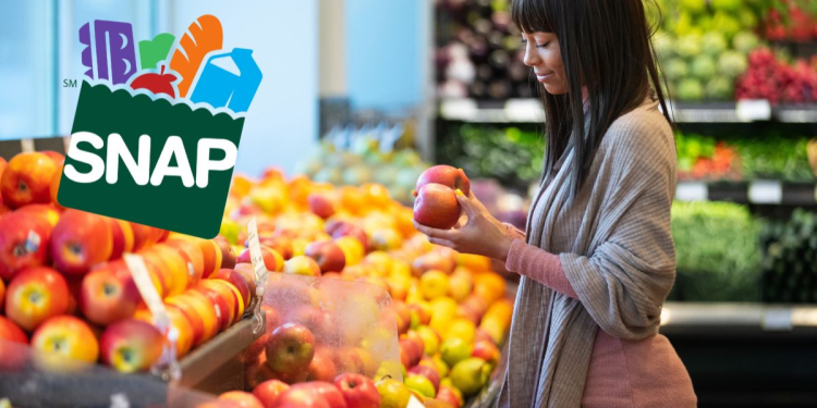 Complete SNAP Food Stamps Payment Schedule for November Up to $292 on Your EBT Card