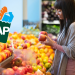 Complete SNAP Food Stamps Payment Schedule for November Up to $292 on Your EBT Card