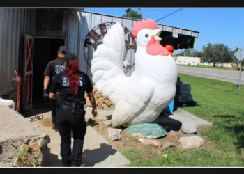 Over 800 animals confiscated from Santa Fe feed store