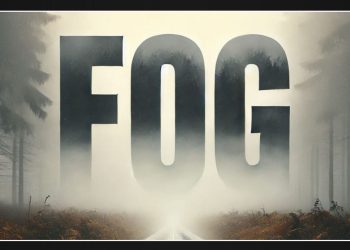 Safety Tips for Morning Commuters on US-59 as Heavy Fog Engulfs Southeast Texas