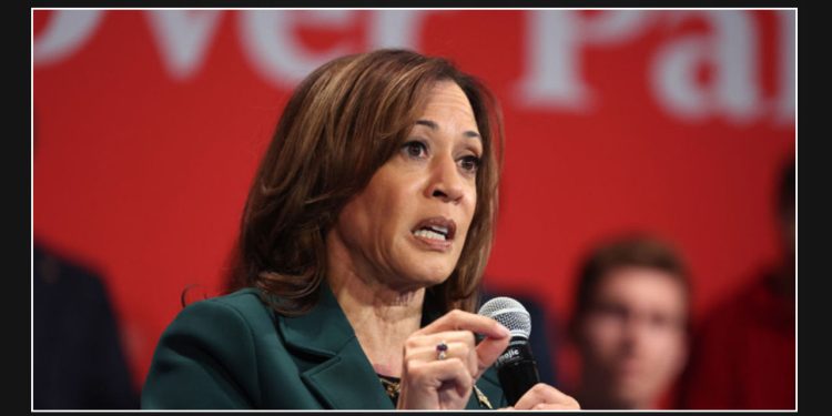 Supporters of Kamala Harris in Texas Receive Threatening Flyers Signed By 'Grand Dragon of Trump Klan', Warning They are Being Tracked in a National Database