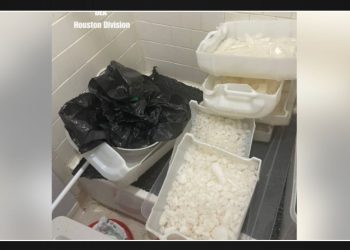 Two men arrested in North Houston after DEA Houston Division makes 'significant' drug seizure