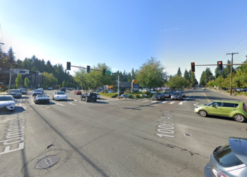 82-Year-Old Edmonds Woman Charged with Hate Crime Following Assault at Political Rally