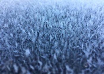 Cold Snap Hits Alabama, Florida's Gulf Coast; Rain, Freeze Conditions in Forecast