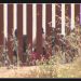 Concerns over mass deportations spread throughout Arizona