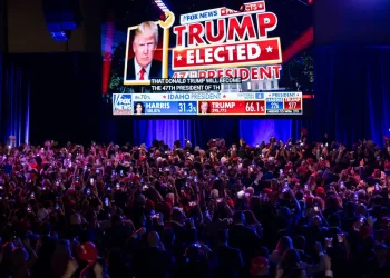 Fox News Soars as MSNBC Ratings Dip Post-Election in Media Shake-Up