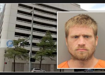 Houston Police Report Librarian Assaulted in Chevron Parking Garage on Louisiana Street