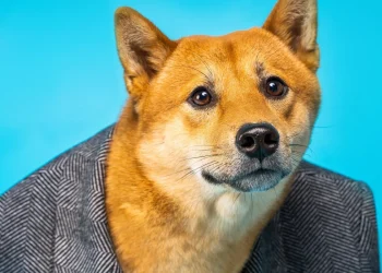 More than Dogecoin this week, these Meme Coins have pumped