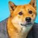 More than Dogecoin this week, these Meme Coins have pumped
