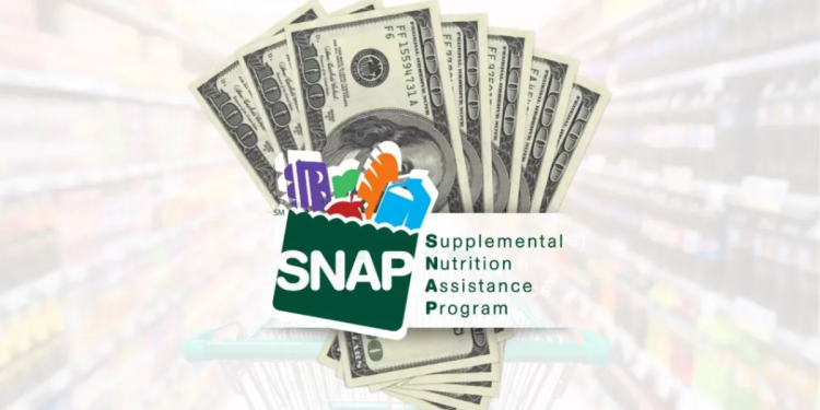 November 2024 SNAP Benefits Key Information for Recipients