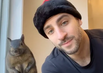 Peanut the Squirrel's Owners File to Sue NY Over 'Execution'