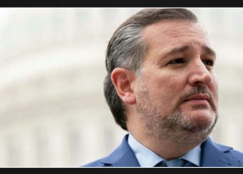 Ted Cruz Warns of Potential Doubling of Undocumented Immigrants in the U.S. with Kamala Harris as President