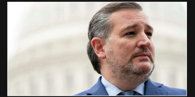 Ted Cruz Warns of Potential Doubling of Undocumented Immigrants in the U.S. with Kamala Harris as President