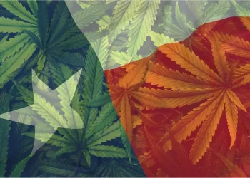 n: 2025 Could Be the Turning Point