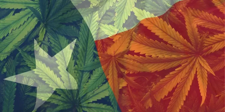 n: 2025 Could Be the Turning Point