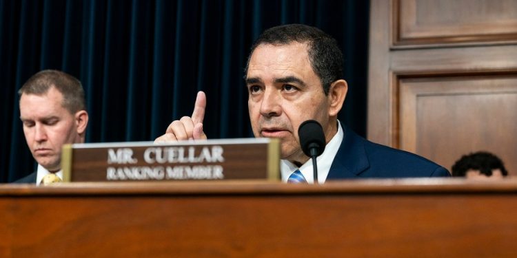 Texas Democrat says Trump’s tariffs ‘will definitely get Mexico to the table’ to solve immigration, fentanyl problems