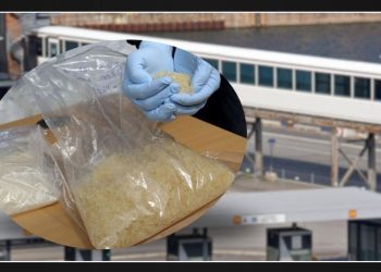 Texas Border Agents Seizes Over 350 Pounds of Meth