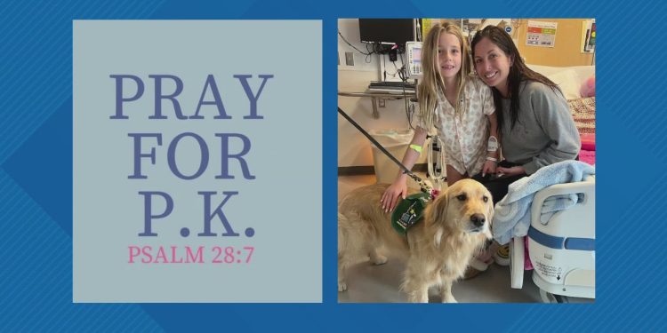 Wentzville girl dies from cancer, her dad shared on Thanksgiving morning