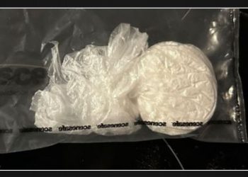 Devon police seize suspected drugs worth £2k in proactive raid