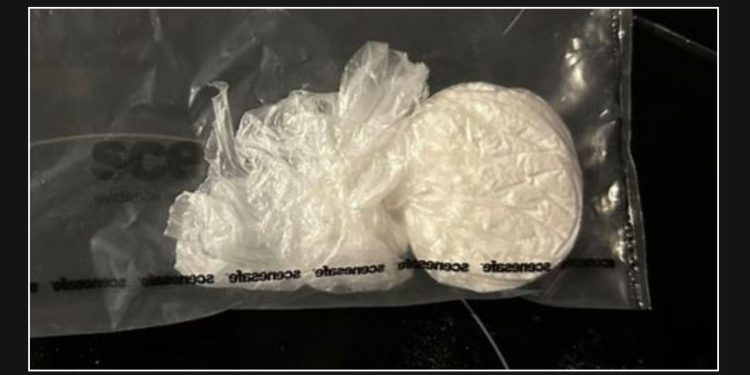 Devon police seize suspected drugs worth £2k in proactive raid