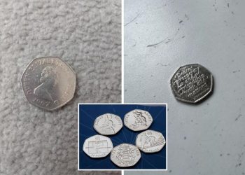 eBay; County Durham residents selling 50p coin for £15,000