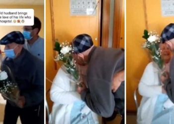 102-year-old man brings flowers to his wife in the hospital and that kind of love is priceless