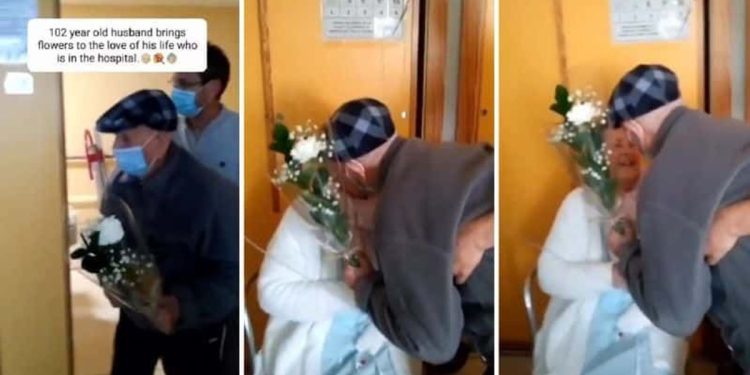 102-year-old man brings flowers to his wife in the hospital and that kind of love is priceless